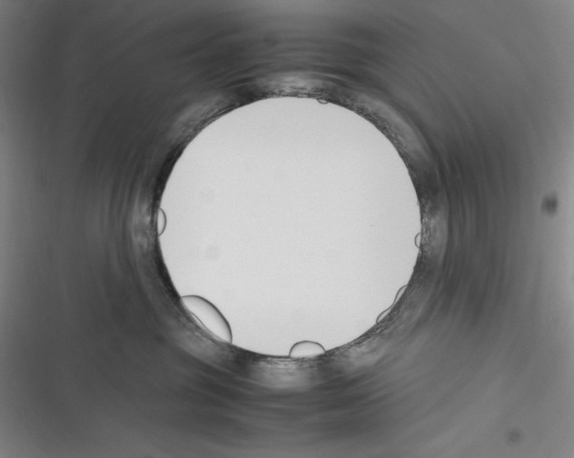X0000116270381201001111019