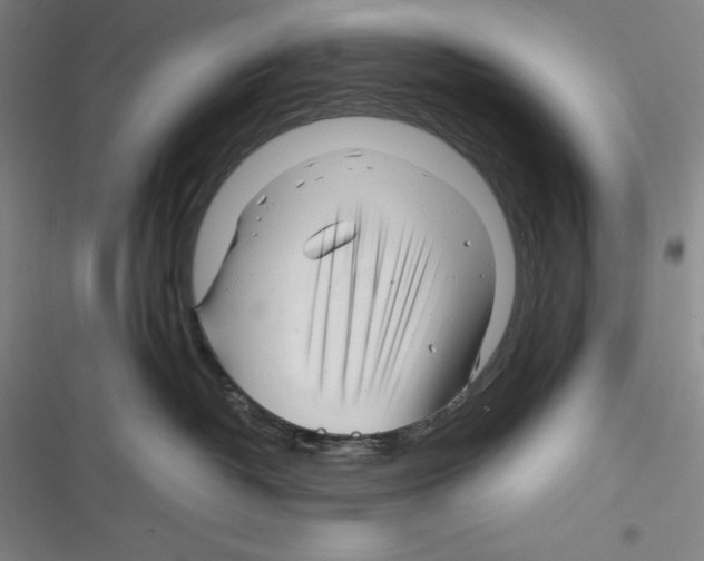 X0000116270382201001111019