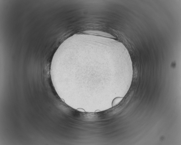 X0000116270383201001111019