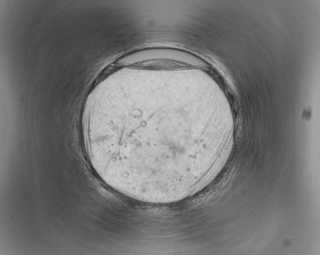 X0000116270385201001111019