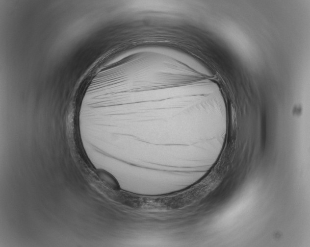 X0000116270387201001111019