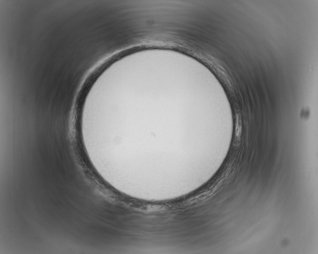 X0000116270388201001111019