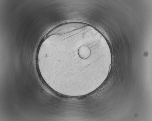 X0000116270389201001111019
