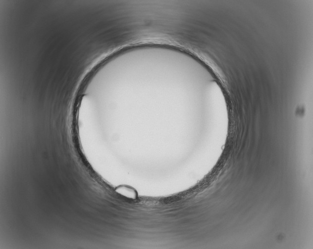 X0000116270391201001111019