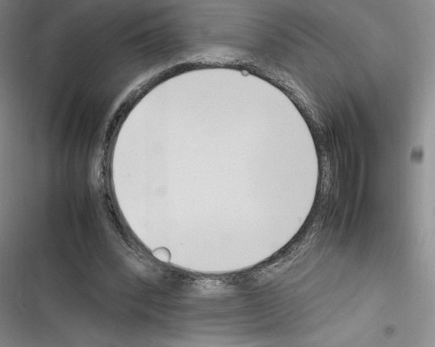 X0000116270392201001111019