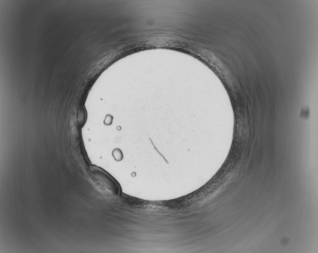 X0000116270393201001111019