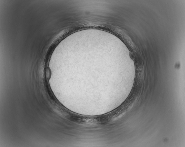 X0000116270395201001111019