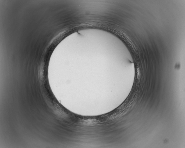 X0000116270396201001111019