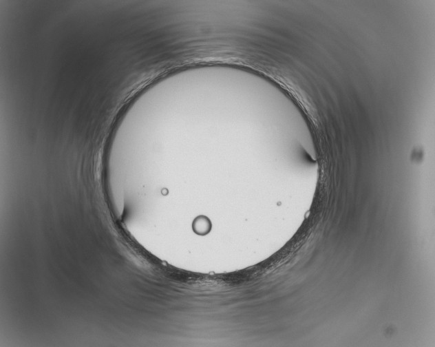 X0000116270397201001111019