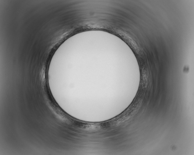X0000116270398201001111019