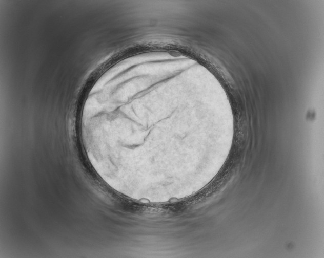X0000116270399201001111019