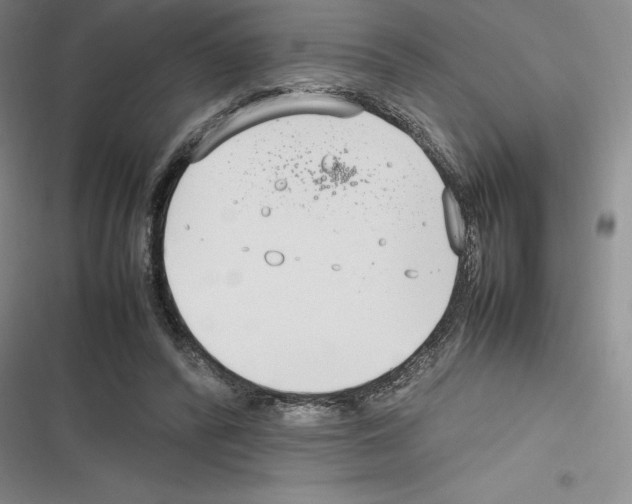 X0000116270400201001111019