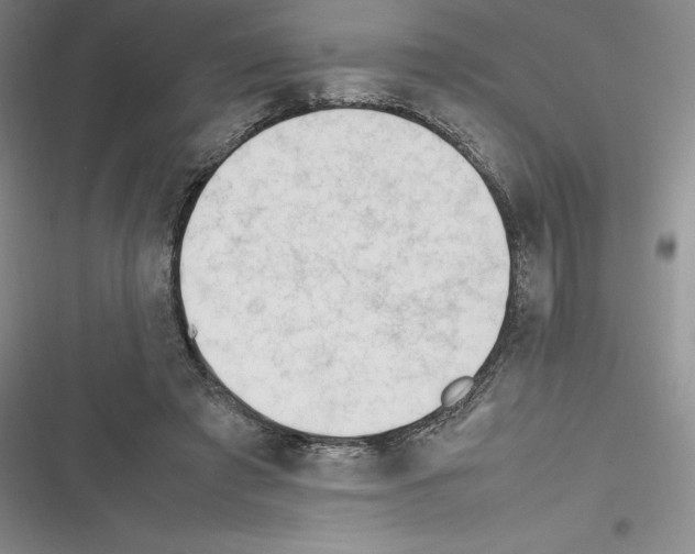X0000116270401201001111019