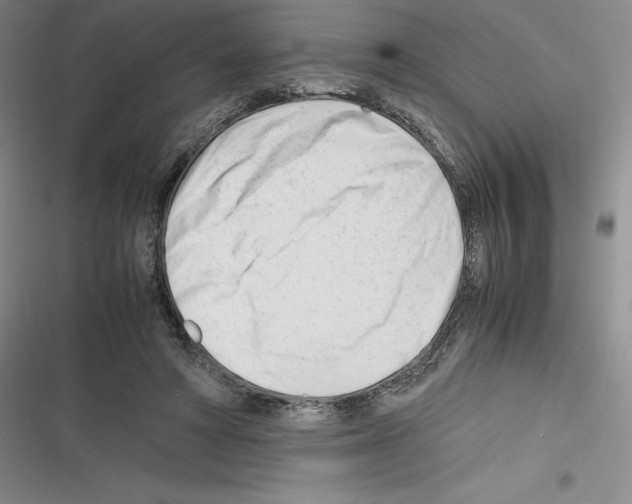 X0000116270402201001111019
