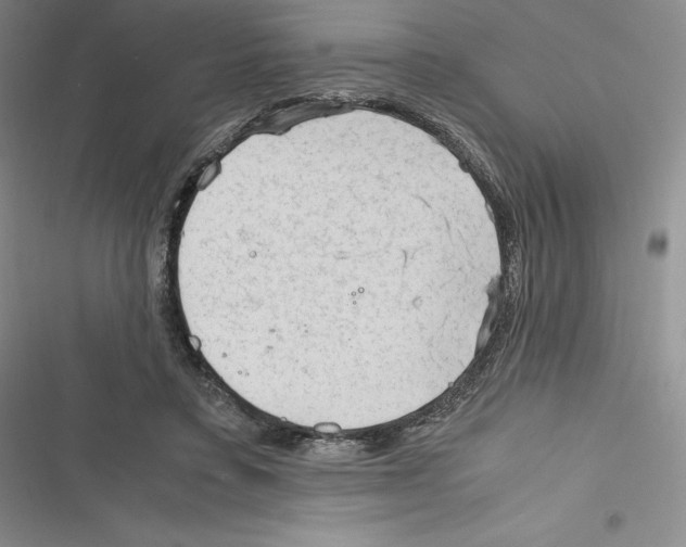 X0000116270403201001111018