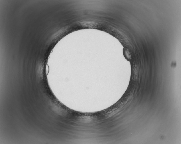 X0000116270404201001111018