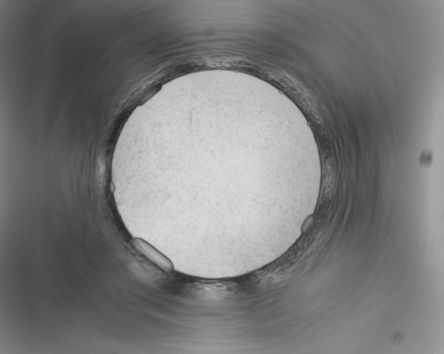 X0000116270405201001111018