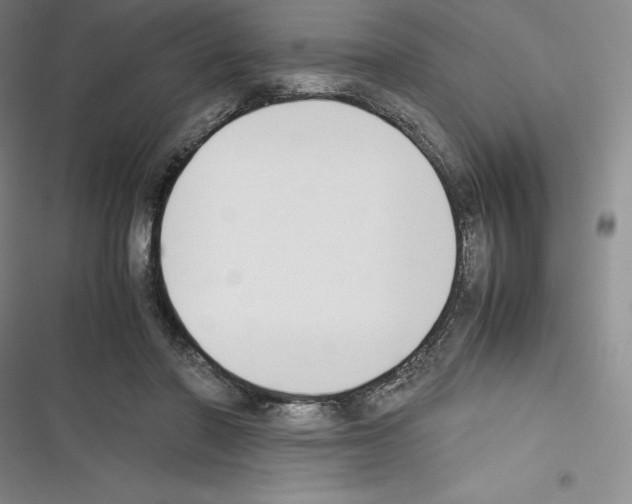 X0000116270406201001111018