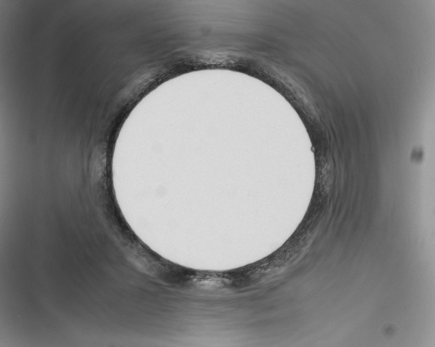 X0000116270407201001111018