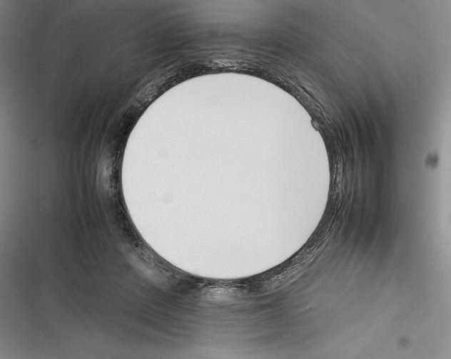 X0000116270408201001111018