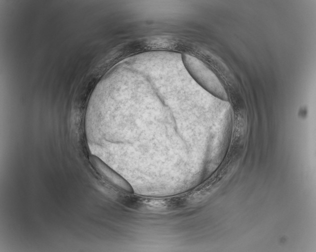 X0000116270409201001111018