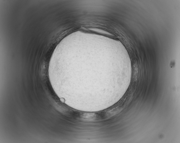 X0000116270410201001111018