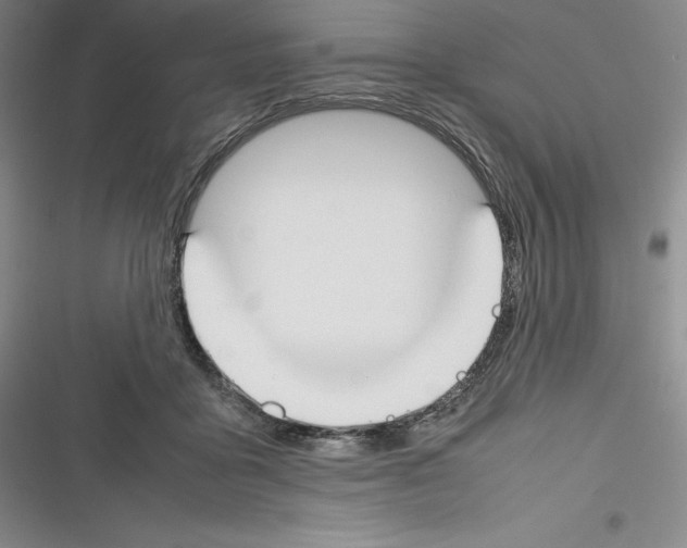 X0000116270411201001111018