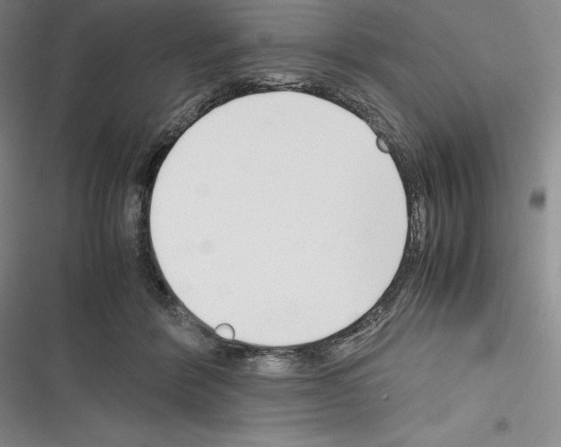 X0000116270412201001111018