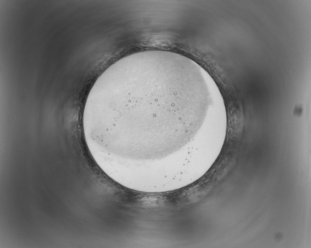 X0000116270415201001111018