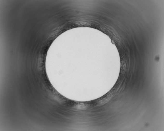 X0000116270416201001111018