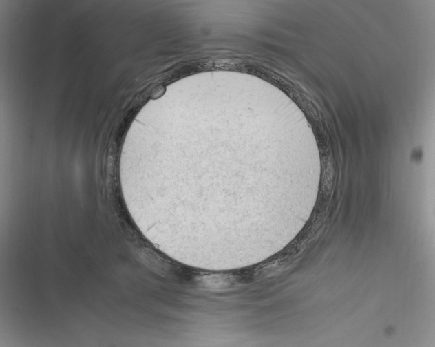 X0000116270417201001111018
