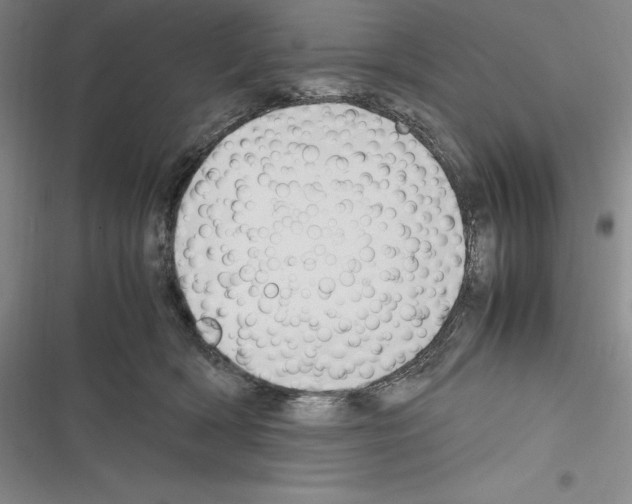 X0000116270418201001111018