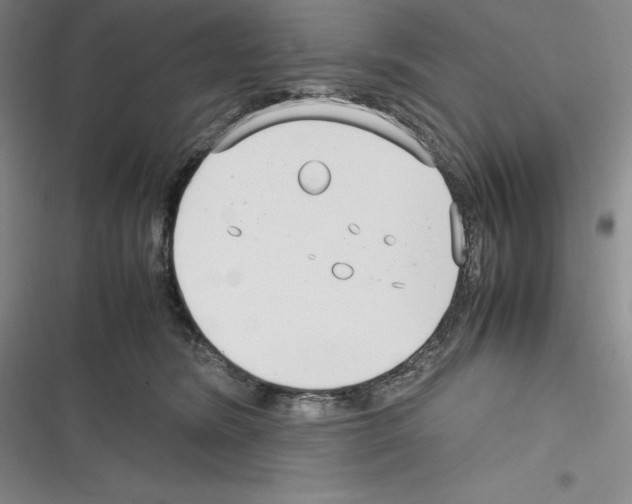 X0000116270420201001111018
