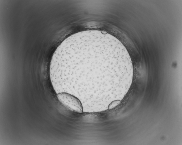 X0000116270422201001111018