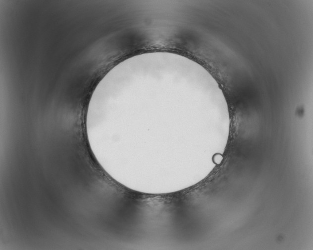 X0000116270423201001111018