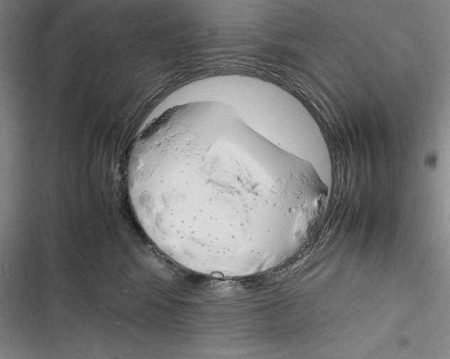 X0000116270424201001111018