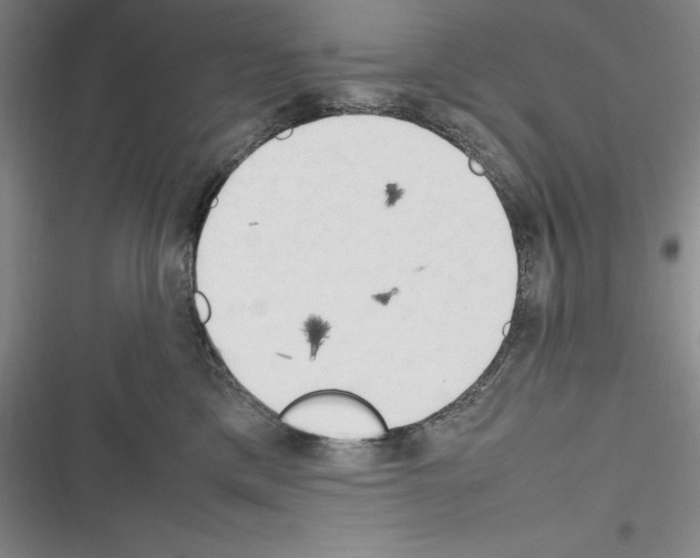 X0000116270425201001111018