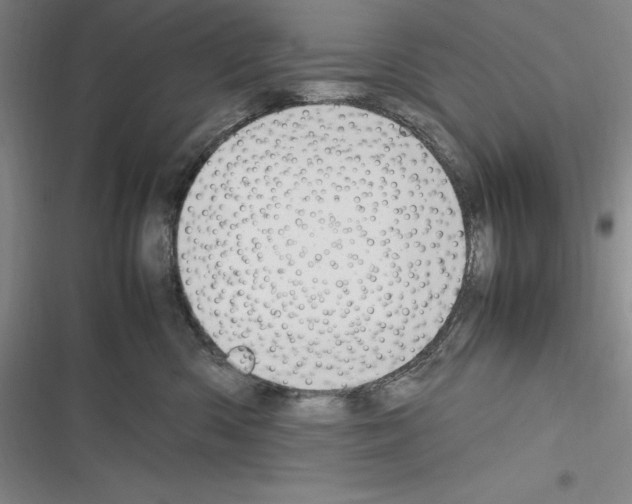 X0000116270426201001111018
