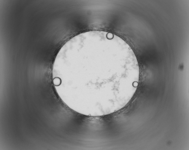 X0000116270427201001111018