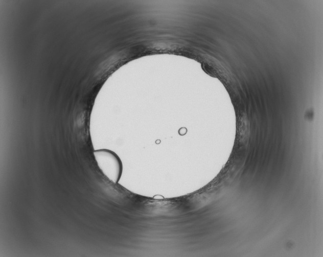 X0000116270428201001111018