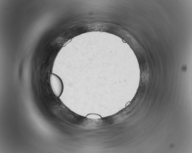 X0000116270429201001111018