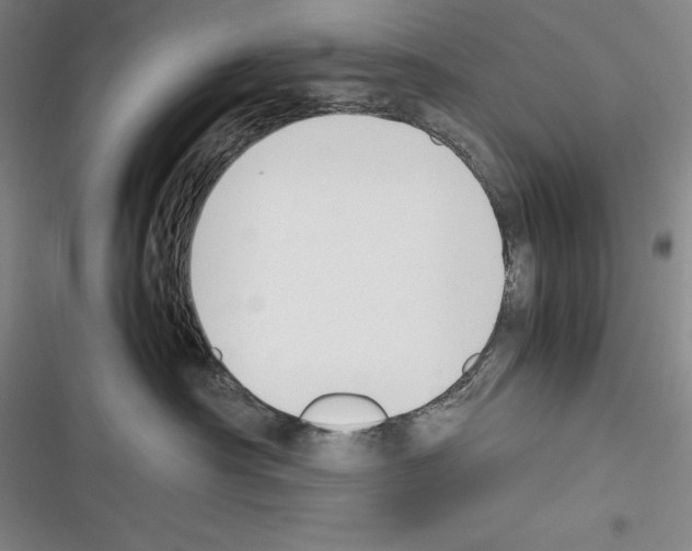 X0000116270430201001111018