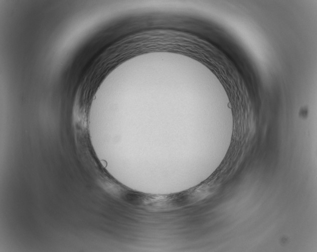 X0000116270431201001111018