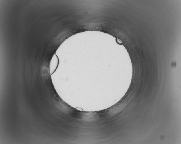 X0000116270432201001111018