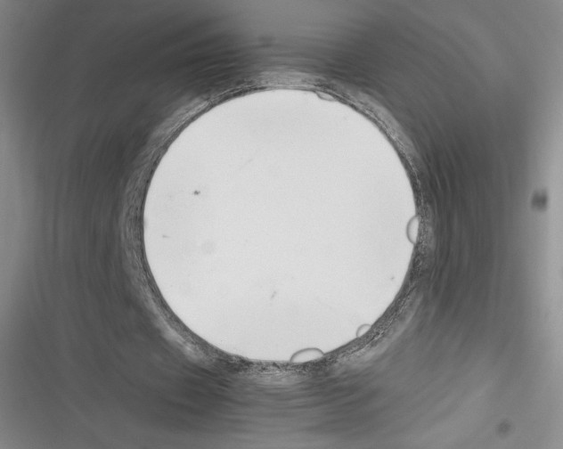 X0000116270433201001111017