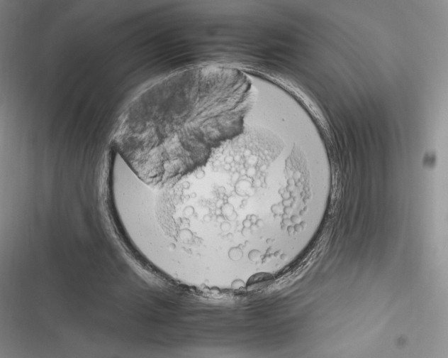 X0000116270437201001111018