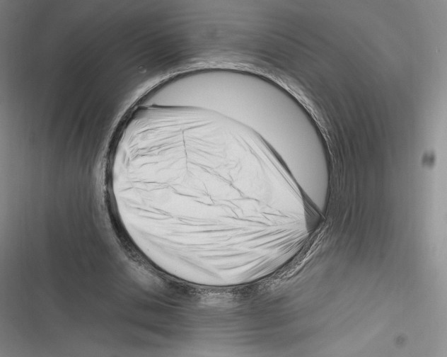 X0000116270438201001111018