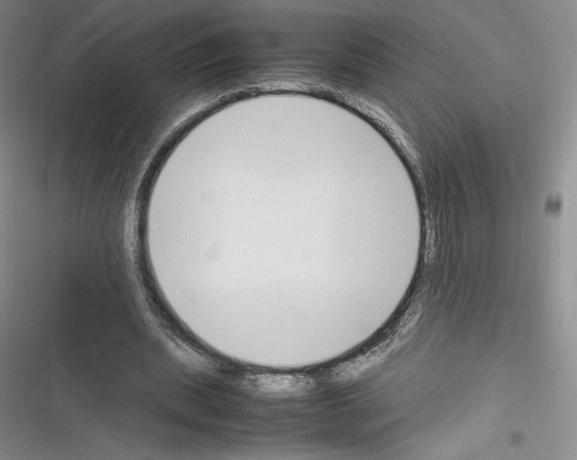 X0000116270439201001111018