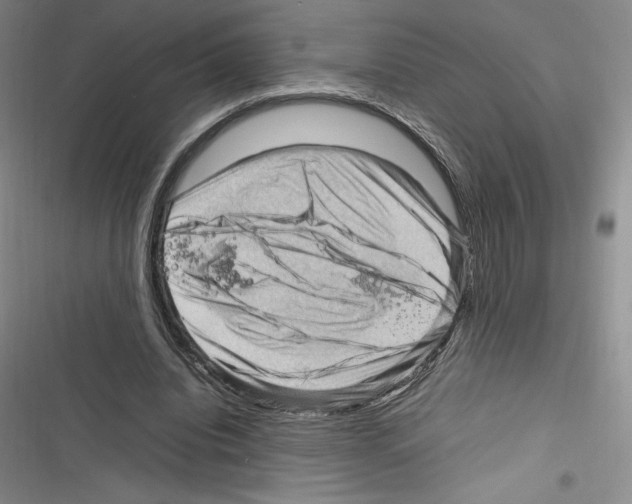 X0000116270440201001111018