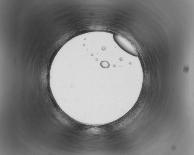 X0000116270441201001111018